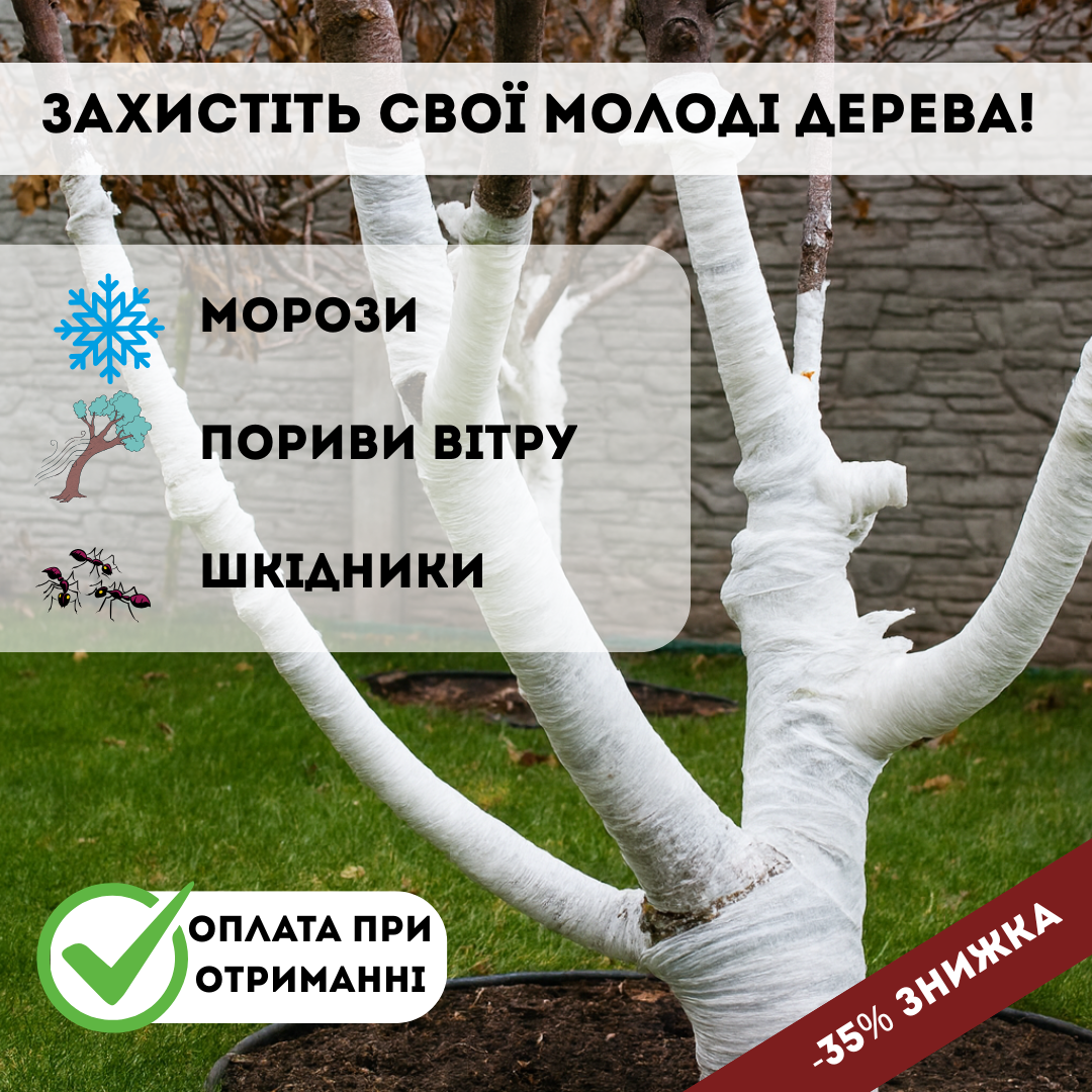 Головне фото товару